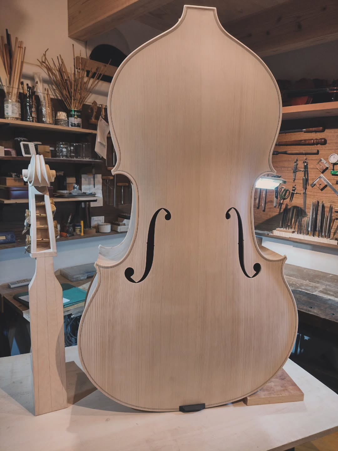 コントラバス製作表板〜接着 胴部分が用意できたFlatback 琉球松 (裏板 横板)